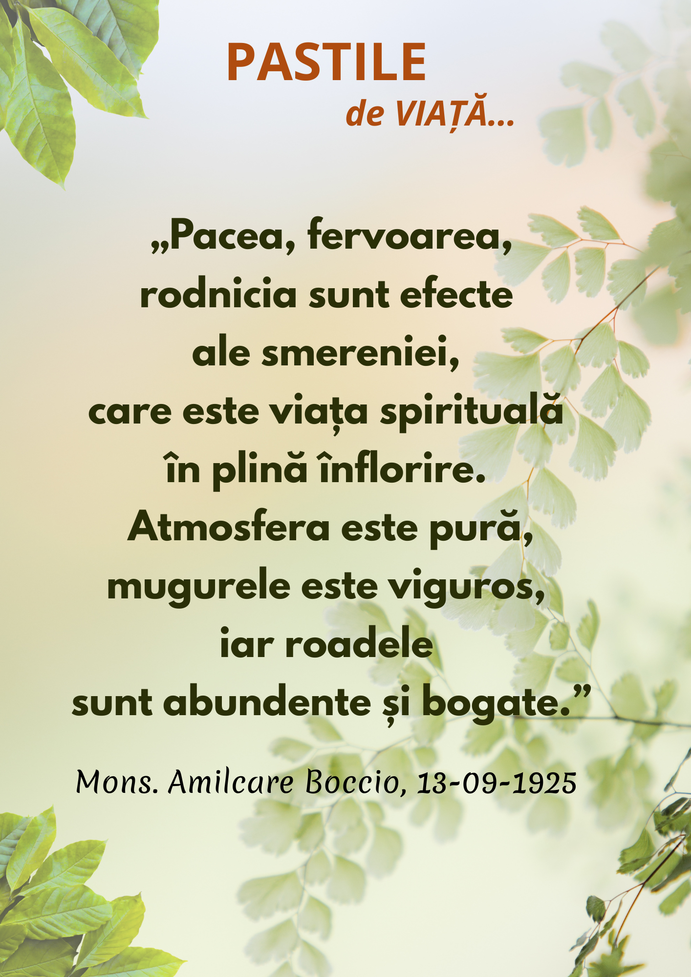 Piccole Figlie del Sacro Cuore di Ges&ugrave;